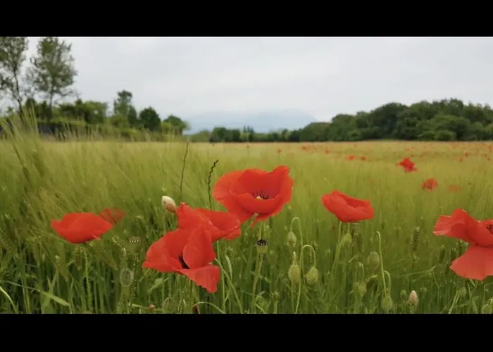 Comfortable For Your Vacation * Raffa