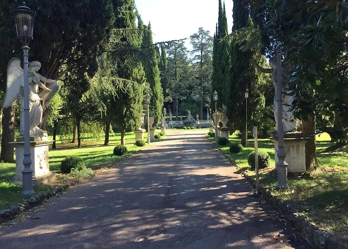 Comfortable For Your Vacation