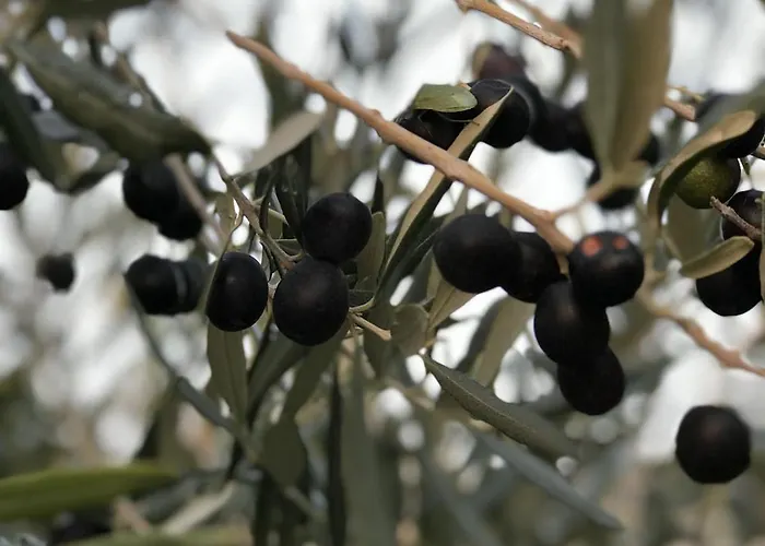 Lägenhet Comfortable For Your Vacation