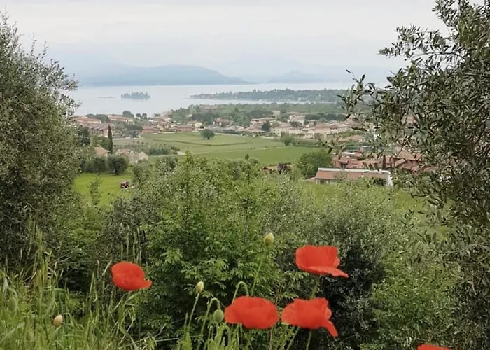 Comfortable For Your Vacation Raffa